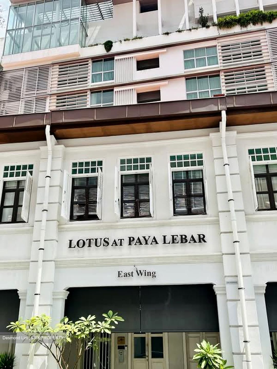 Lorong 41 Geylang (D14), Terrace #529253831